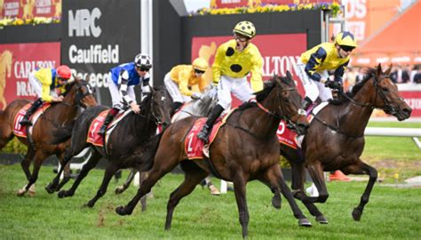 caulfield cup betting - caulfield cup betting guide